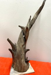 Awesome Piece Of Driftwood Mounted On Slate. Approx 17 High X 6 Wide