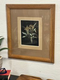 Sally Miller Framed Art Scratchboard Orchids