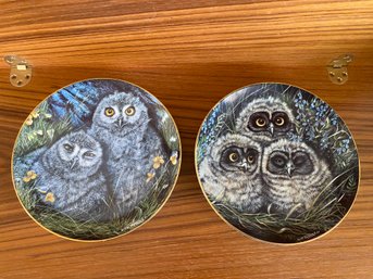 Two Colorful Dick Twinney Owl Collector Plates