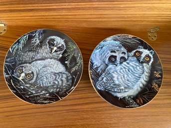 Lovely Dick Twinney Collector Plates Great Grey Owls And Long Eared Owls