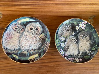 Tawny And Little Owls Depicted In Detail In These Two Collector Plates By Dick Twinney