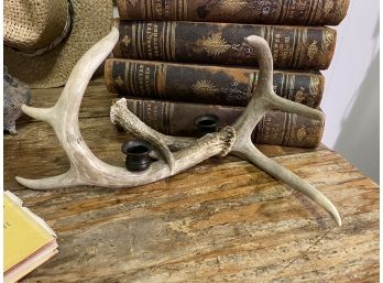 Antler Candle Holder