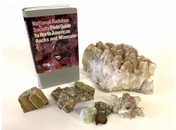 Rocks & Minerals Book With Crystals And Rocks Lot