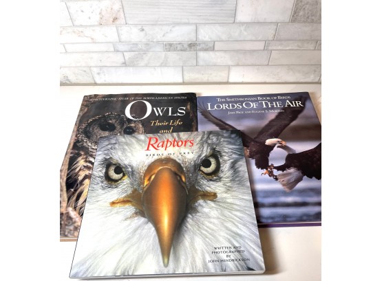 Avian Enthusiast Coffee Table Books/ Birds Of Prey, Owls,& Lords Of The Air