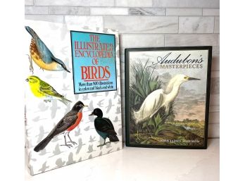 Avian Enthusiast Coffee Table Books/ Audubon And Illustrated Encyclopedia