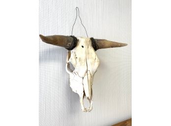 Real Cow/Steer Skull Head With Horns #1.  Wrapped In Wire For Easy Hanging