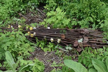 LOT 127 - ELECTRIC FENCE POSTS / METAL