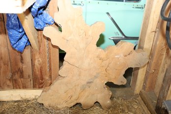 LOT 42 - HUGE CUT TREE SLAB - PERFECT FOR MAKING A TABLE!