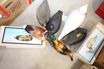 LOT 107 - WOODEN DUCKS AND PLASTIC DECOYS