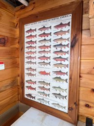 273 - WALL HANGING OF SALMON