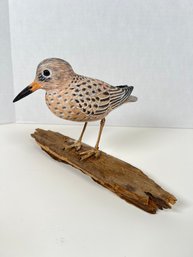 141 - ARTIST MADE, PURPLE SANDPIPER, SIGNED, SUCH A GREAT PIECE!