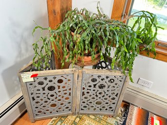 221 - BIG CHRISTMAS CACTUS PLANT AND WOODEN SCREEN