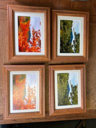 292 - FOUR PHOTOS FRAMED