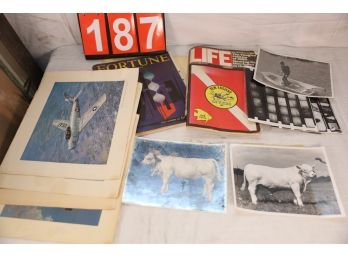 LOT 187 - VINTAGE PHOTOS AND MORE