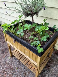 Outdoor Wood Box Planter With Strawberries