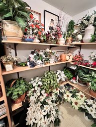 Huge Assortment Of Decorative Indoor Plants