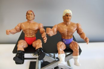 Rick Flair And Larry Legend Zbyszko Figures