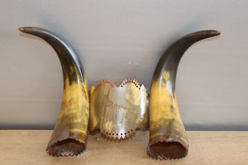 Decorative Mounted Horns Genuine Horn 8' X 11'