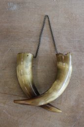 Decorative Mounted Horns 5 5/8' X 5 5/8'