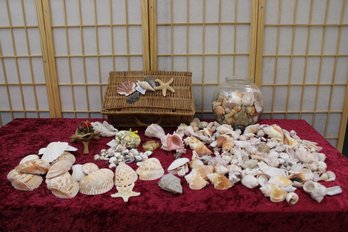 Huge Lot Of Shells With Basket