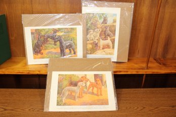 3 Dog Prints Published By The National Geographic Society