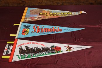 Pennants Anneuser Busch 25' Skimoble Mt. Cranmore 25' New Hampshire 25' (3)