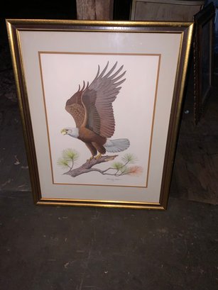 American Bald Eagle By Albert Earle Gilbert 1976 With Wood Frame