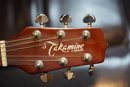 Takamine Acoustic Guitar Model No. G-230