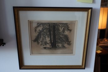 Signed Drawing Of Trees