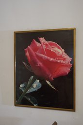 Large Print Of Flower Rose