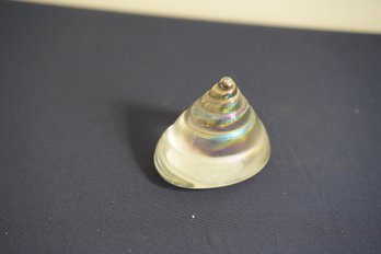 Iridescent Art Glass Shell Paperweight