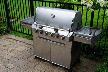 Natural Gas Weber Summit BBQ Grill-Working Condition