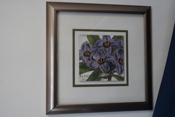 Purple And Yellow Framed Flower Print, 13.5x13.5 Inches