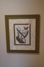 Double Framed Flower And Moth Print, 20x23 Inches