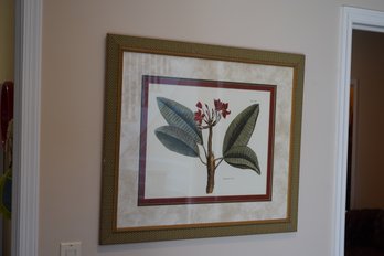 'the Jasmine Tree' Print,  32x28 Inches