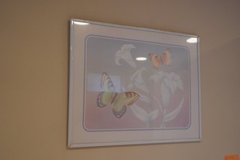 Butterfly Print In White Frame, 20x16 Inches