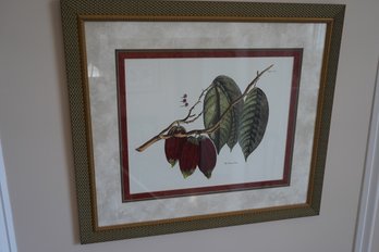 The Cacao Tree Print,  32x28 Inches