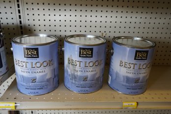 New Sealed Best Look Satin Enamel High Hiding White Paint (3)