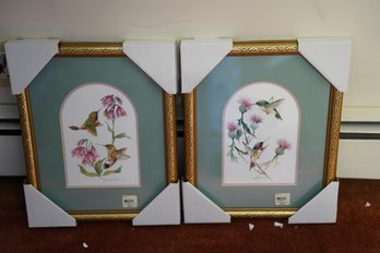 A Pair Of Ornithology Prints Featuring Humming Birds And Flowers In Gold Frames - New In Packaging