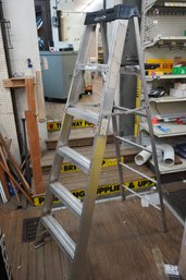 Werner Aluminum 5 Ft Painters Ladder