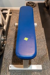 Blue Color Gym Bench