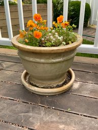 Ceramic With Semi Rim Glazed Planter With Real Flowers