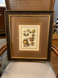 Fruits And Vegetables Print In Double Style Frame, 17x19.5 Inches