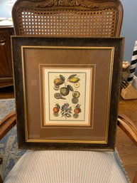 Antique Fruits Reproduction Print, 17x19.5 Inches