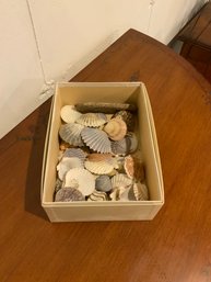 Lot Of Assorted Shells