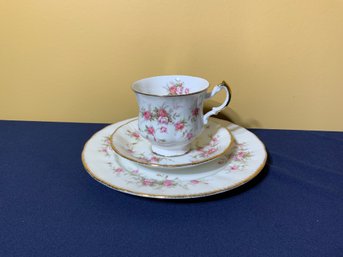 Lovely Vintage Paragon 'Victoriania Rose' English China W/floral Pattern - Small Plate, Cup & Saucer, 3 PCS.