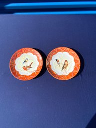 Set Of 2 Vintage R/s Germany Plates With Bird Deisgn