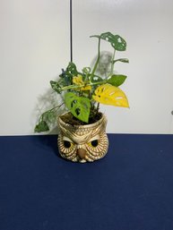 Ceramic Glaze Owl Design Planter