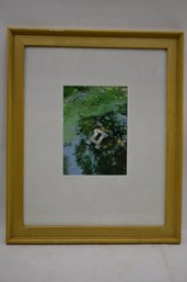 Signed Framed Photo 'as One' By Augusl