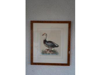 CLASSIC FRAMED DUCK PRINT, SIGNED AND DATED, 15X16 INCHES